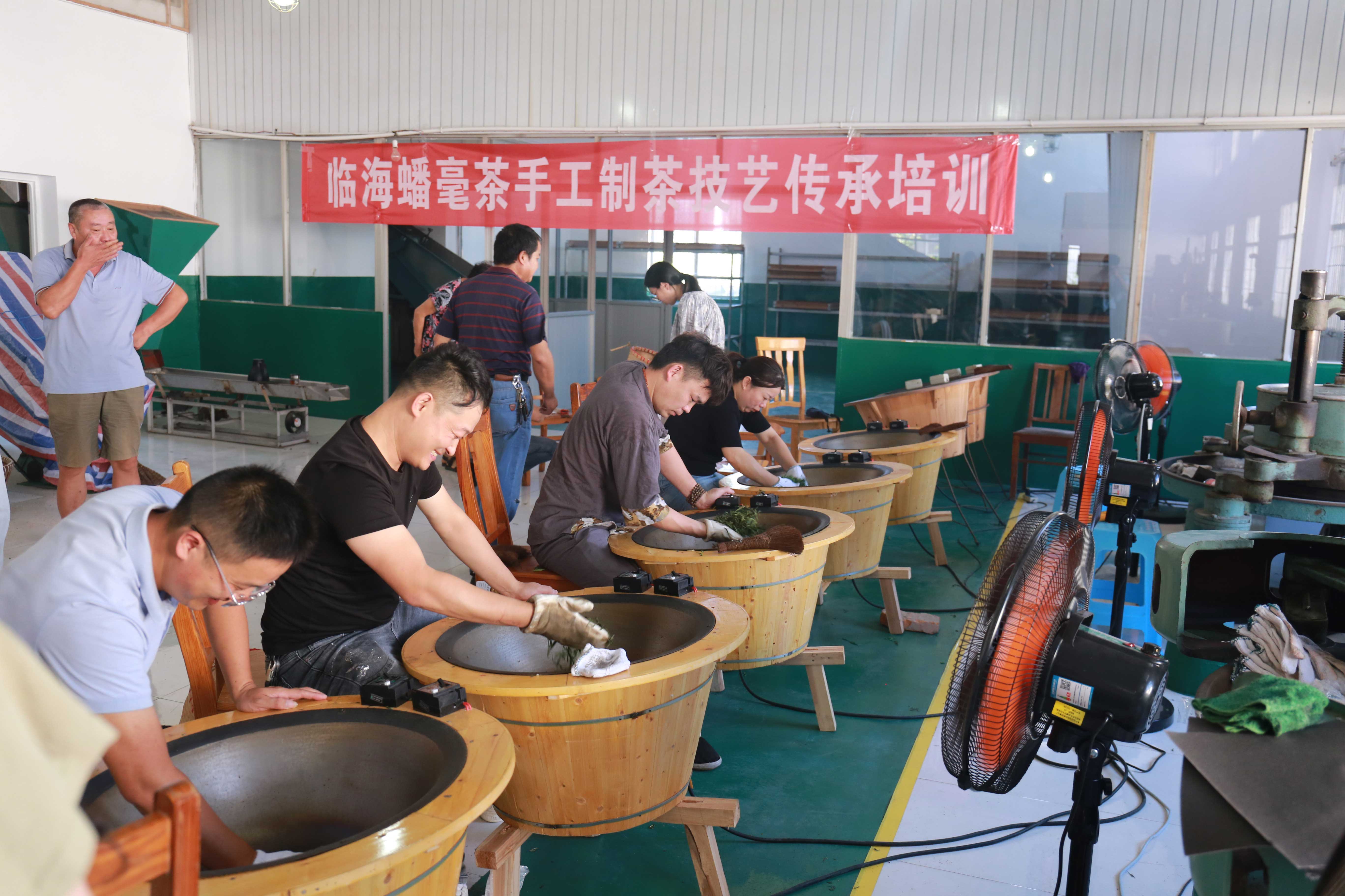 紫砂岙茶葉精制二廠舉辦手工制茶技藝傳承培訓(xùn) ——大田公社拍攝團(tuán)隊(duì)宣傳茶文化